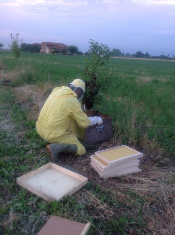 Lattemiele Fontanellato